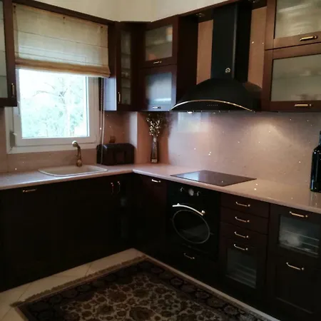 Case de vacanță Luxury Dream House